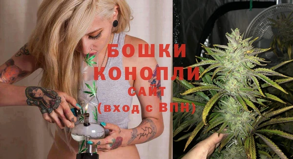 молекула духа Волосово