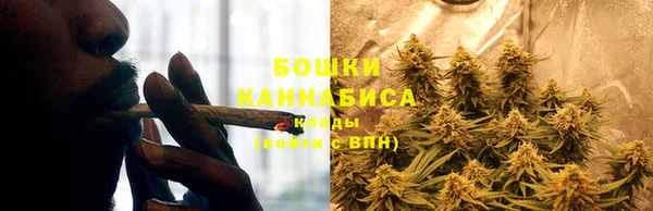 молекула духа Волосово