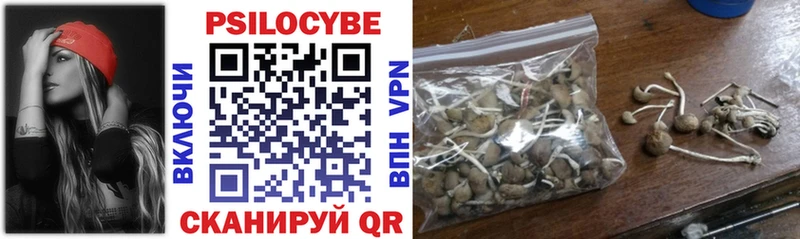 Галлюциногенные грибы мухоморы  Купить закладки  Новое Девяткино 